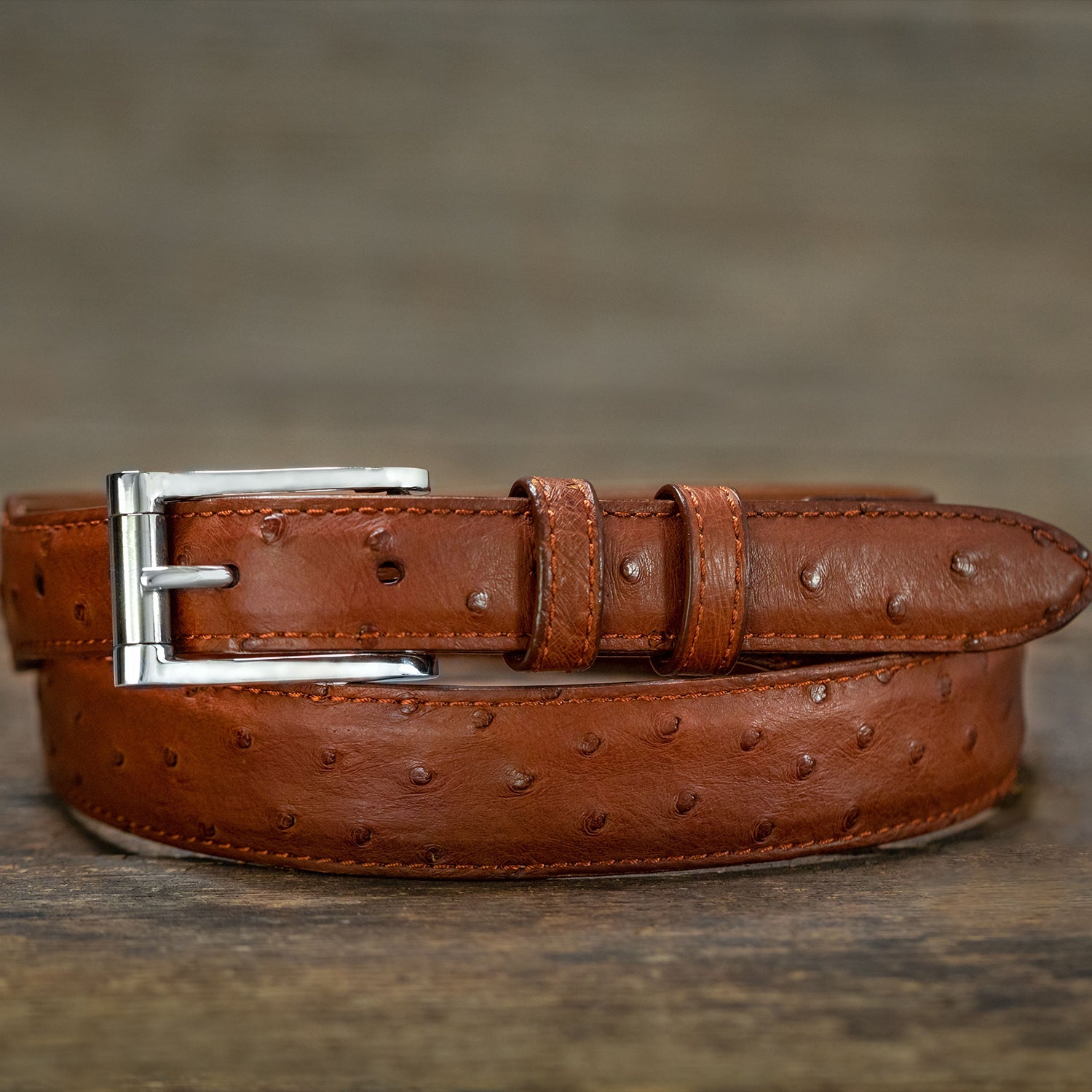 ostrich dress belt Lucchese | Full Quill Ostrich Belt