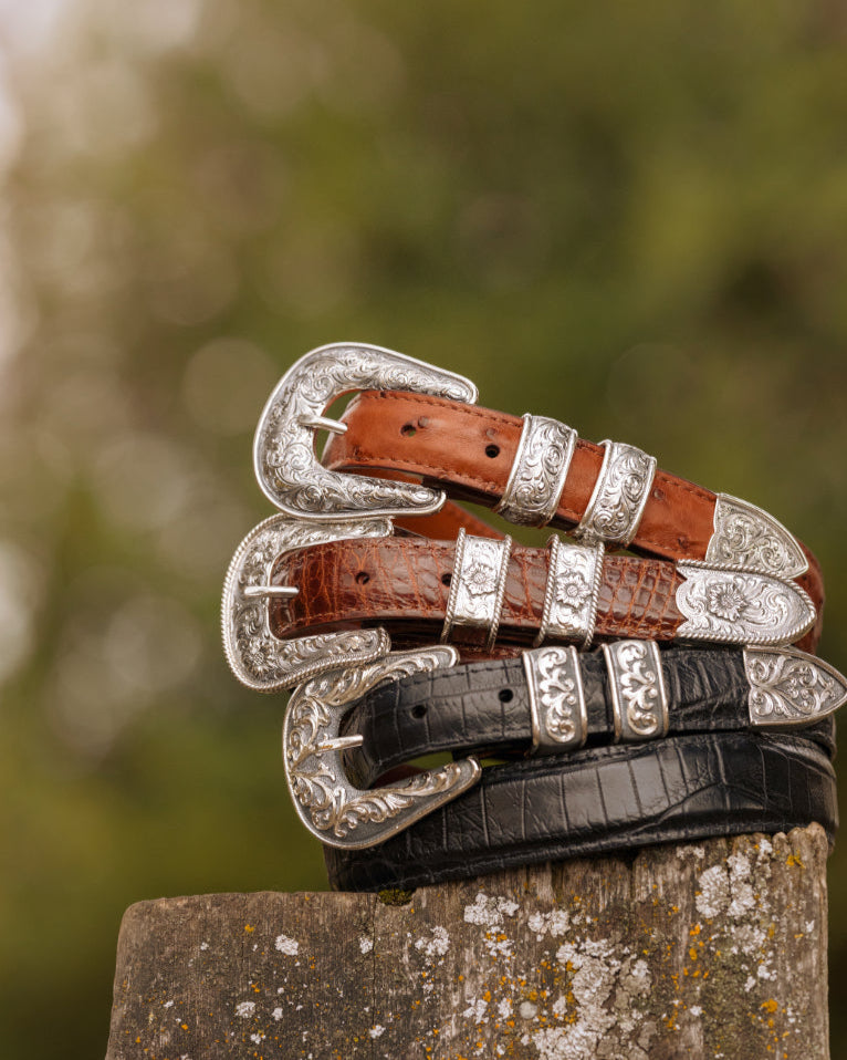 All Buckles