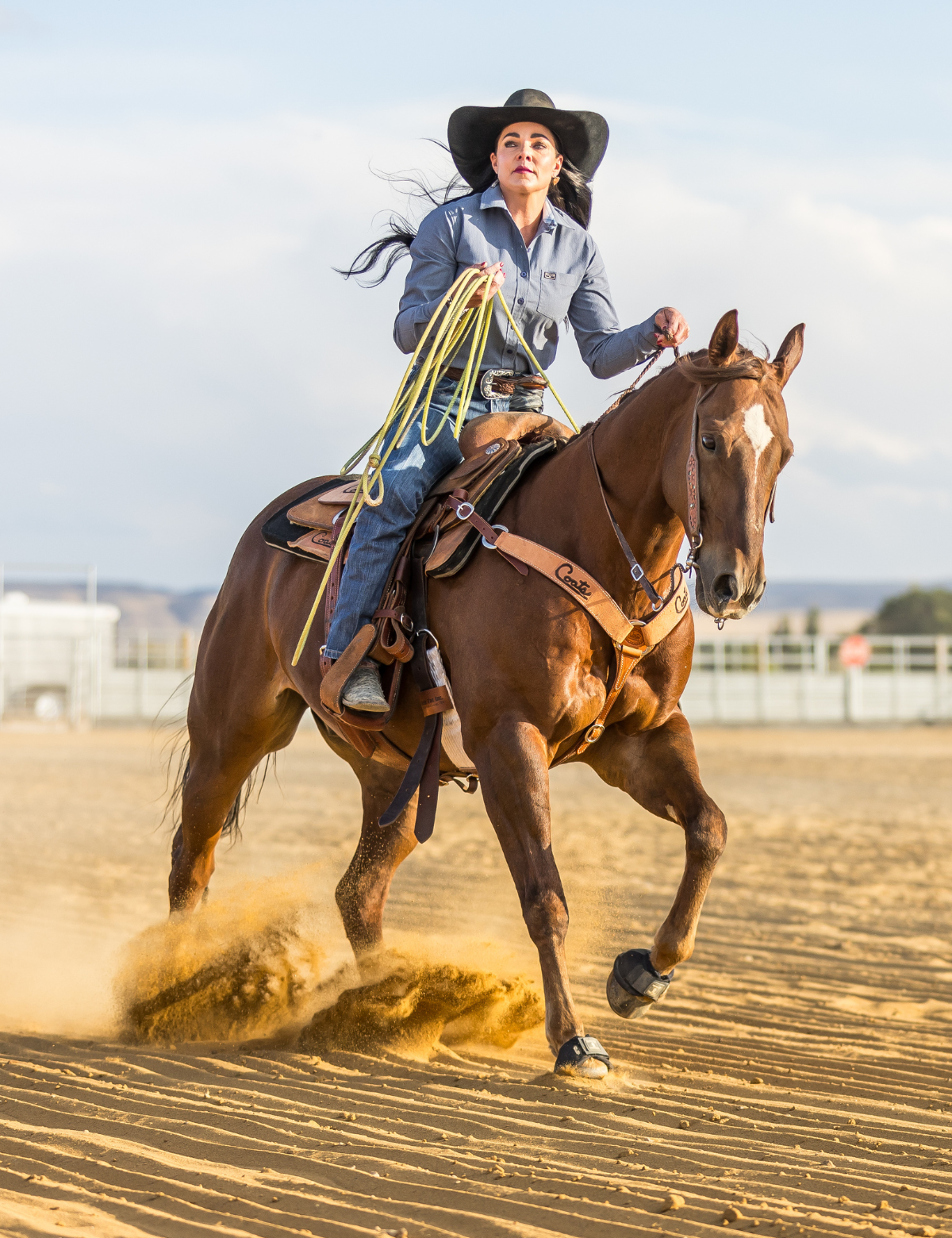 Rodeo Ready – Vogt Silversmiths